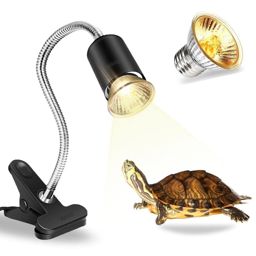 Uvb lamp shop for tortoise