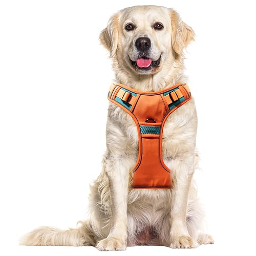 Buraq Pets Premium Dog Harness, Adjustable Dog Vest Harness, Heavy Duty Dog Belt, Perfect for Training, Walking, Running, Hiking, Comfortable & Secure Fit (XL, Orange)