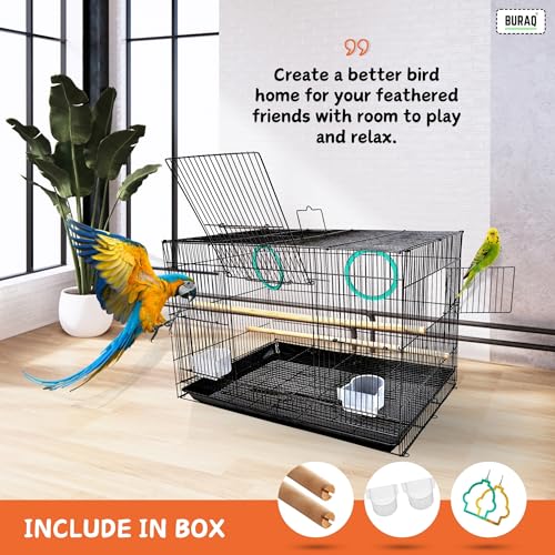 2FT Bird Cage Best for Lovebird