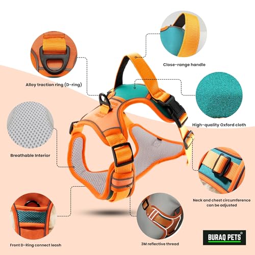 Buraq Pets Premium Dog Harness, Adjustable Dog Vest Harness, Heavy Duty Dog Belt, Perfect for Training, Walking, Running, Hiking, Comfortable & Secure Fit (XL, Orange)