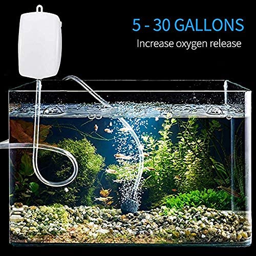 Buraq Aquarium Oxygen Air Pump Motor Provides Additional Oxygen | Low-Power | Long Lasting Performance | Accessories for Fish Tank