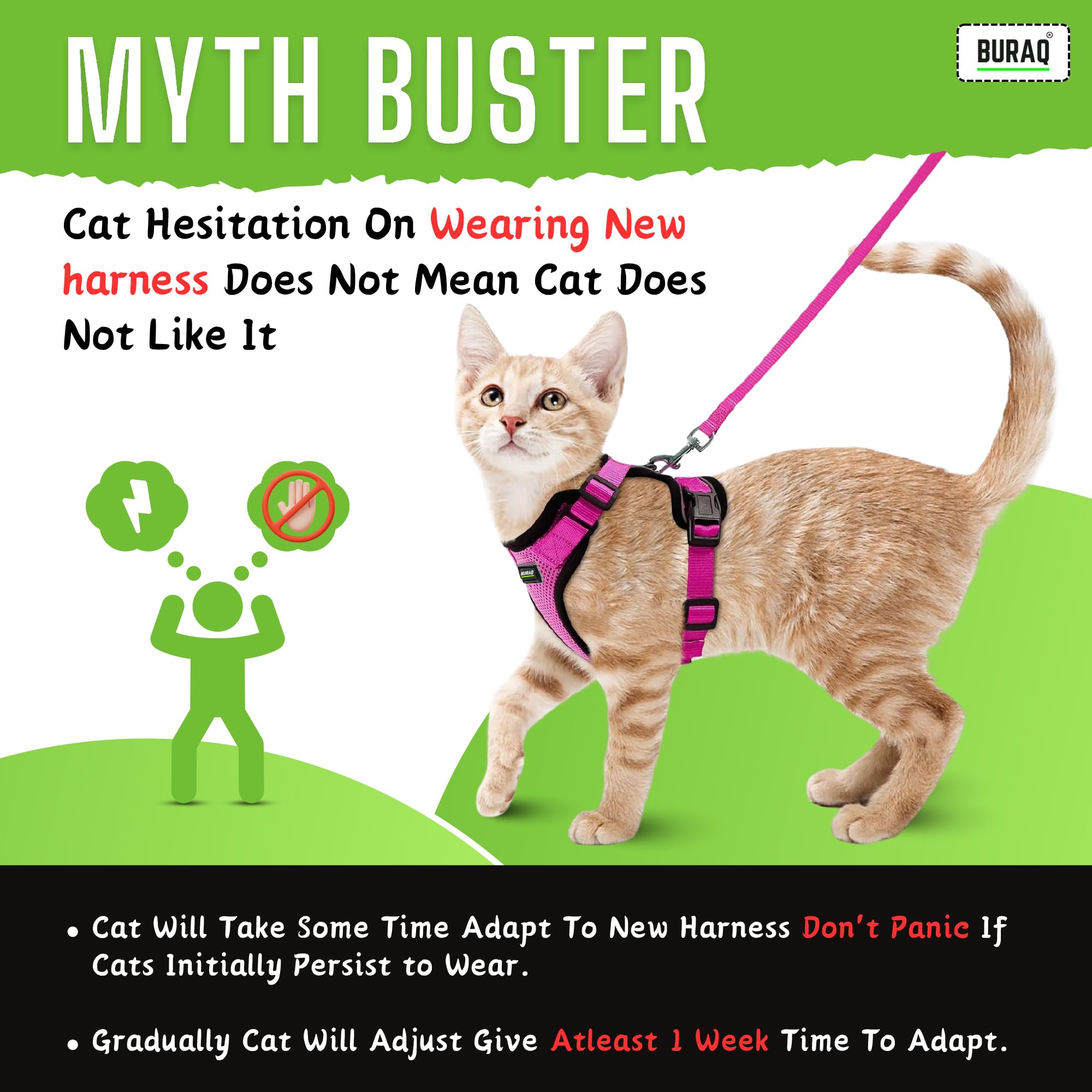 Cat Harness with Leash (S - Grey)