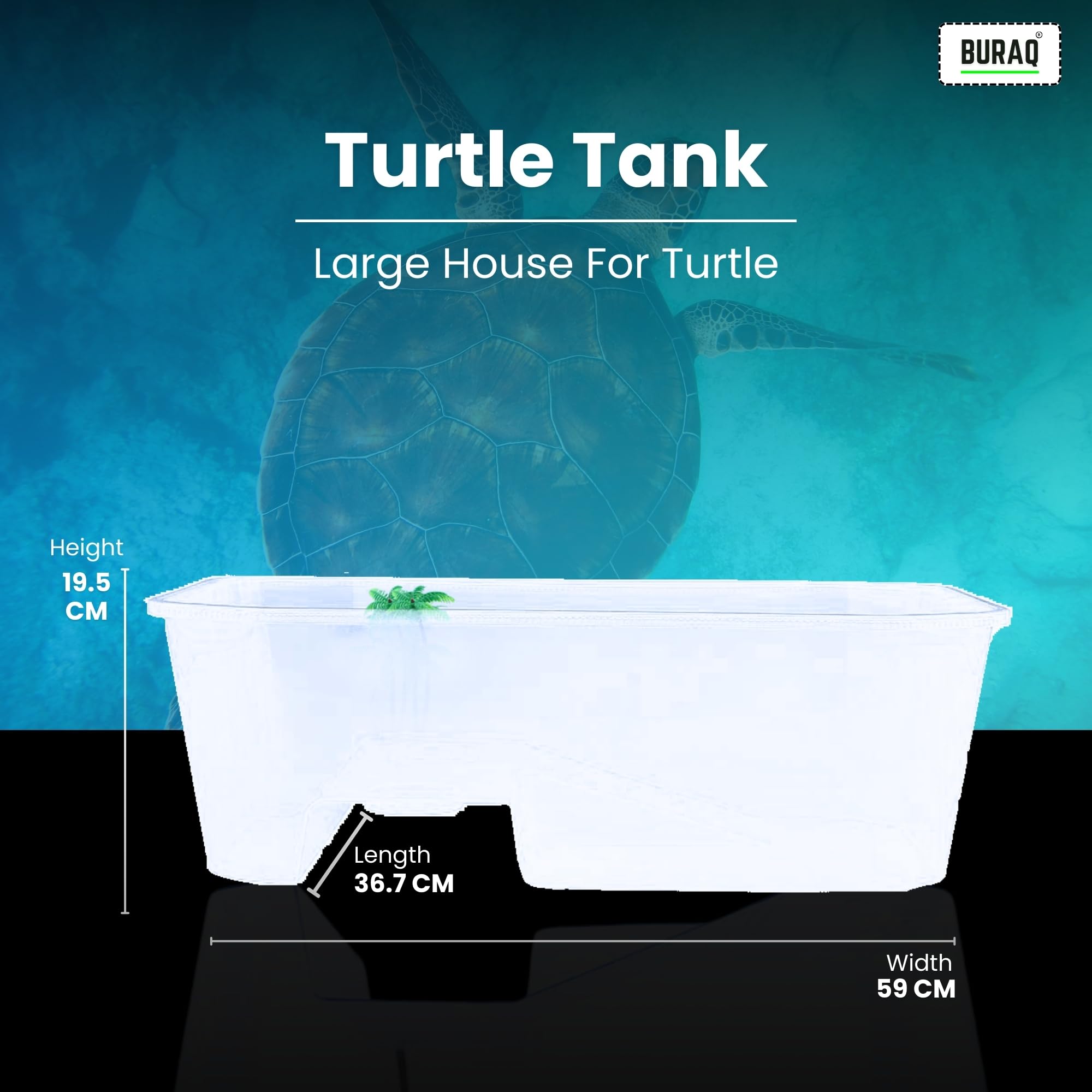 B2 FT Turtle Aquarium Tank