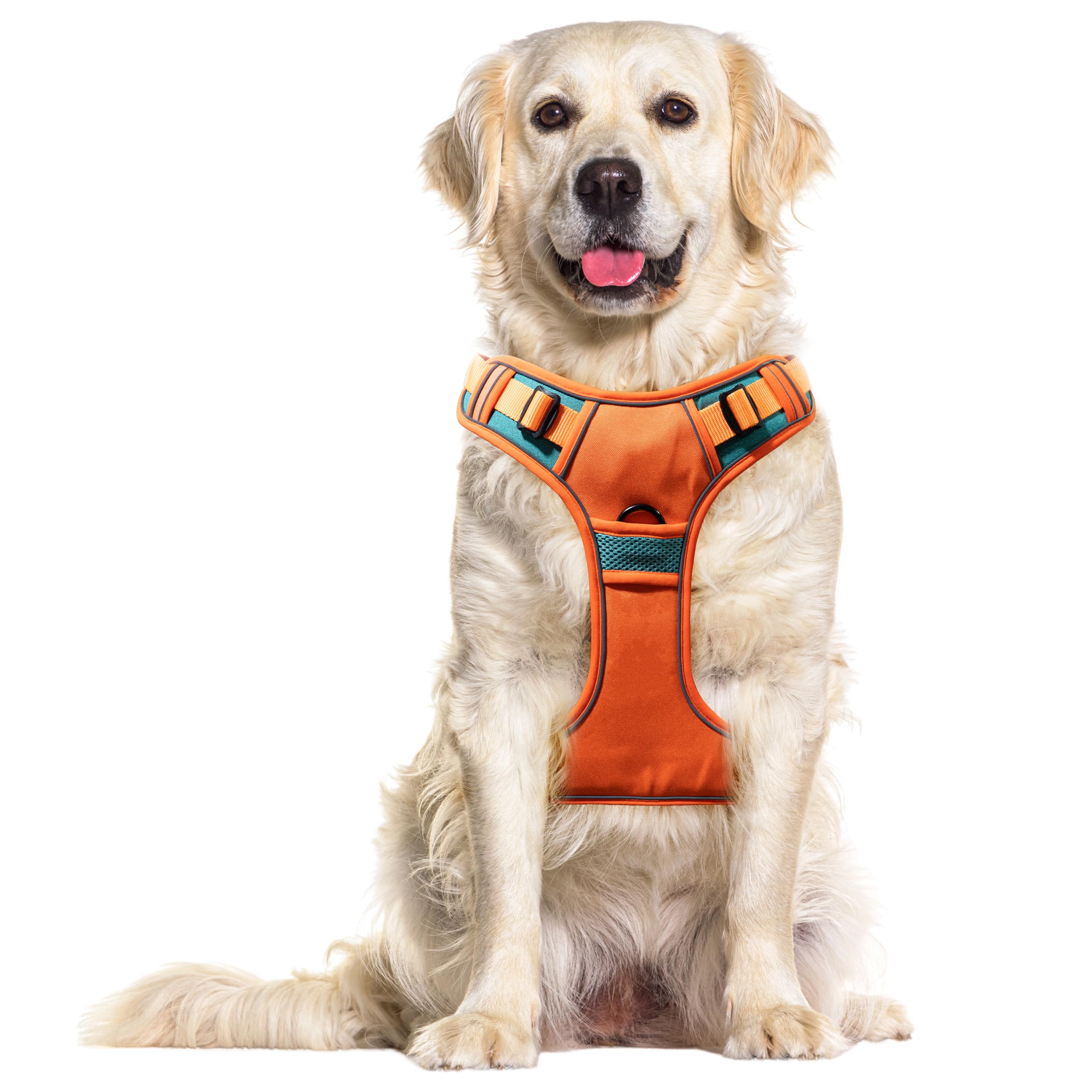 Buraq Pets Premium Dog Harness, Adjustable Dog Vest Harness, Heavy Duty Dog Belt, Perfect for Training, Walking, Running, Hiking, Comfortable & Secure Fit (XL, Orange)