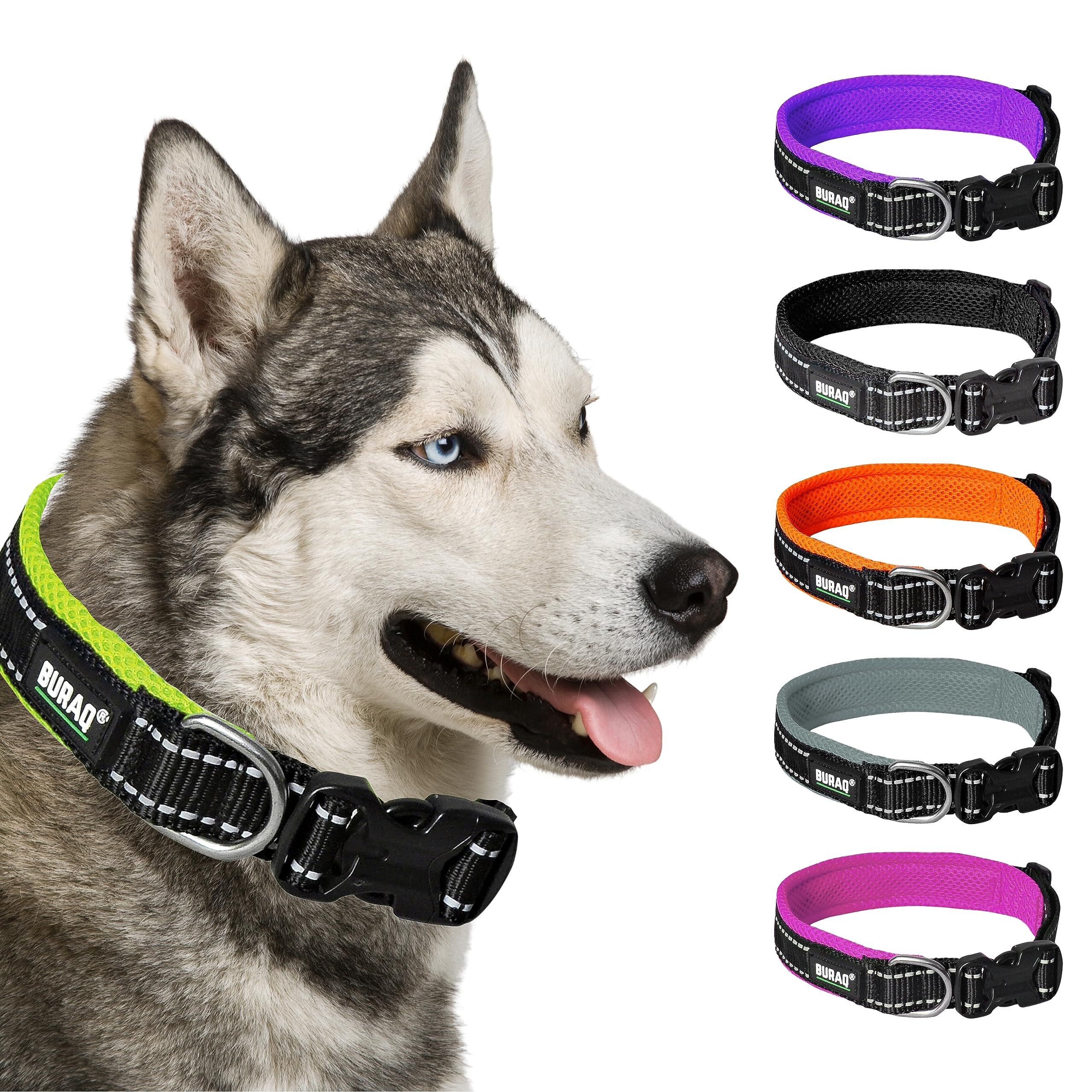 Premium Reflective Padded Dog Collar