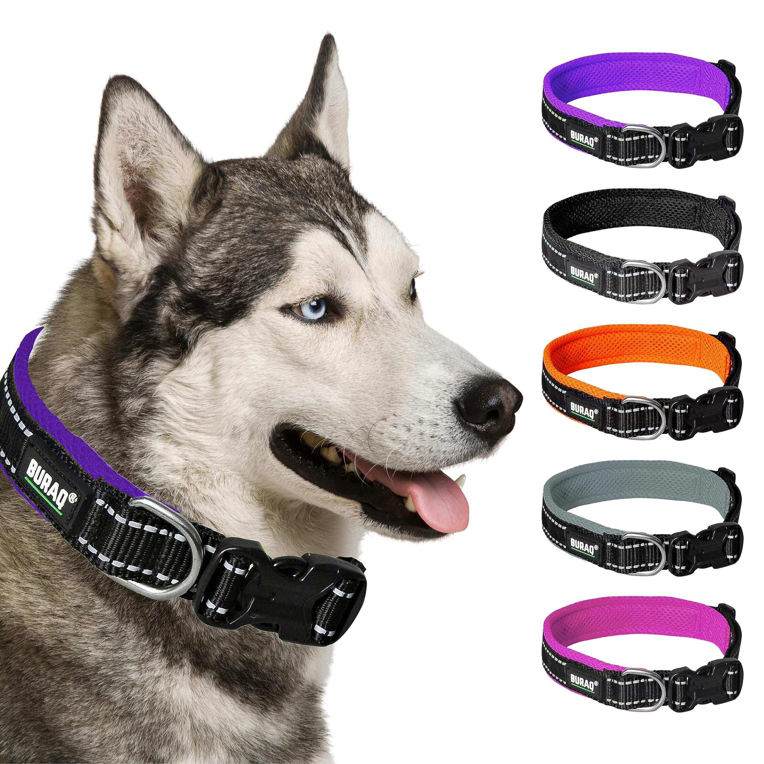 Premium Reflective Padded Dog Collar