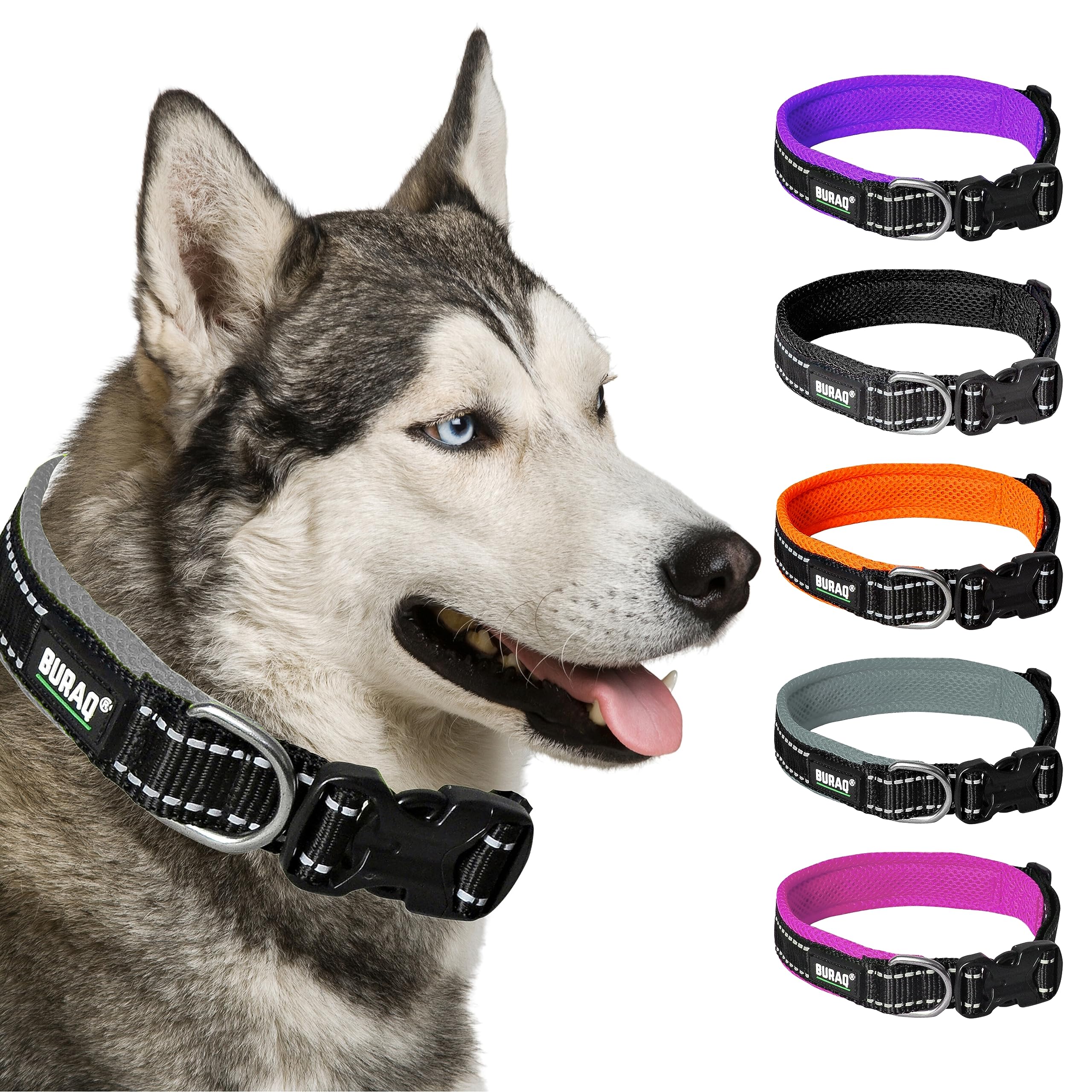 Premium Reflective Padded Dog Collar