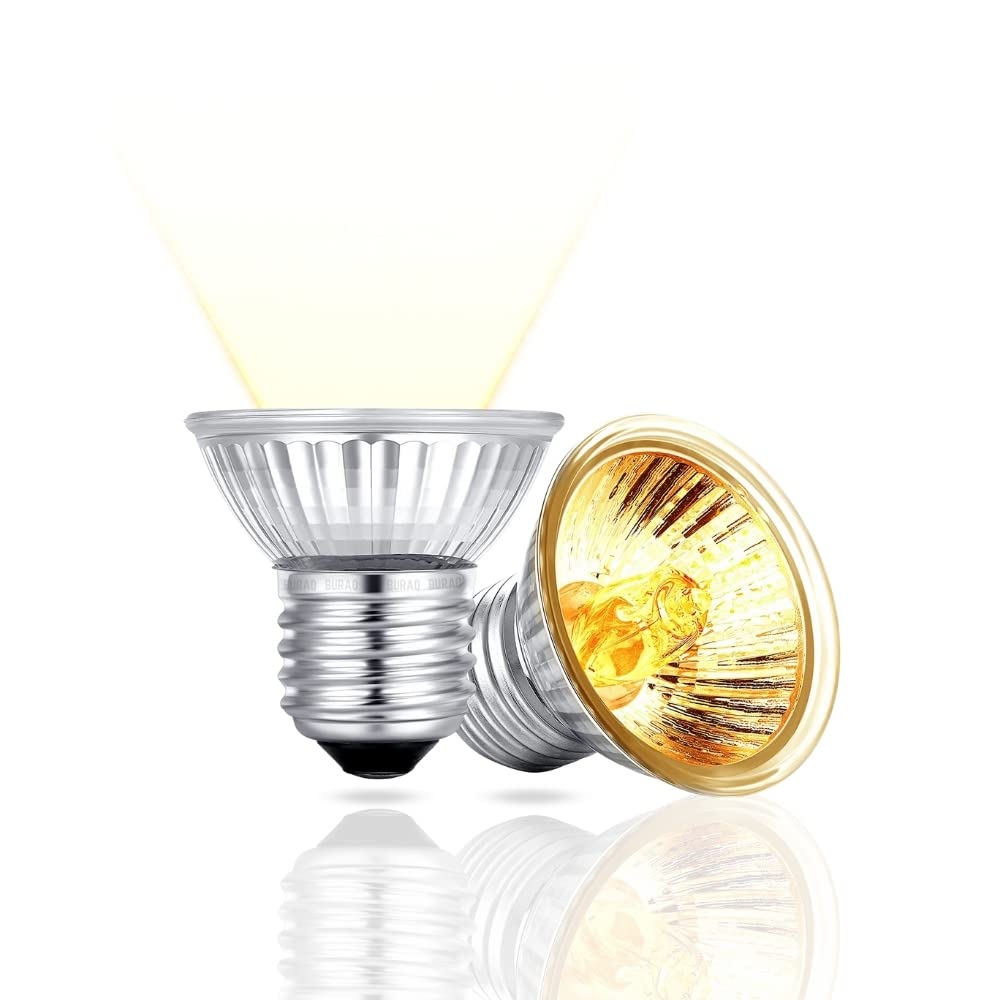 Halogen uvb bulb best sale