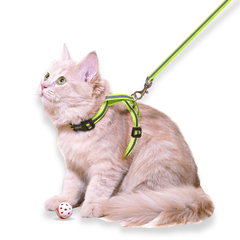 Reflective Cat Harness