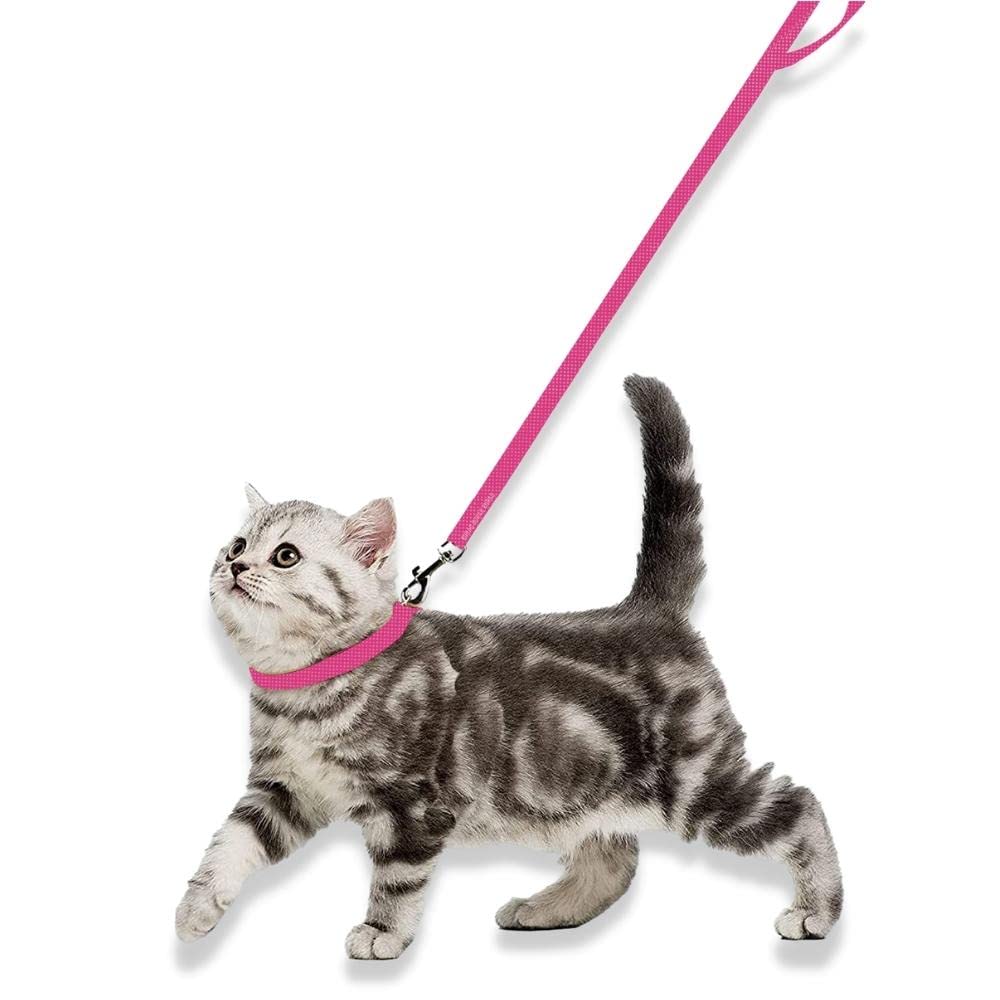 Collar and Leash Set