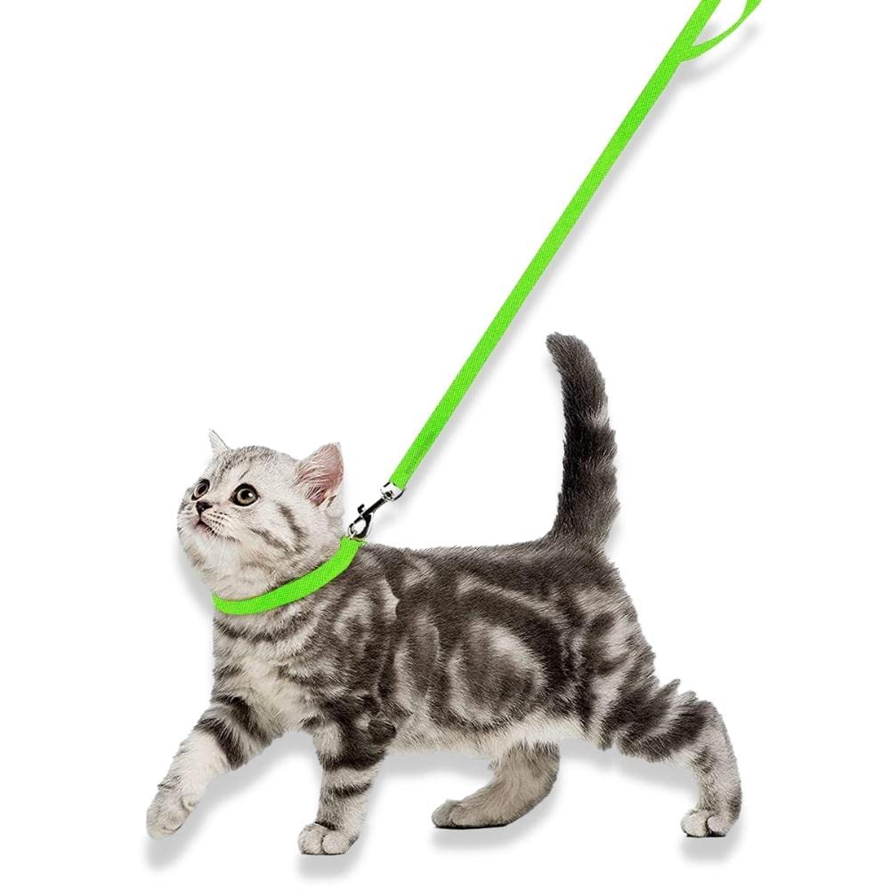 Cat 2025 collar leash