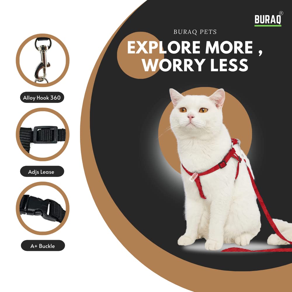 Cat Harness