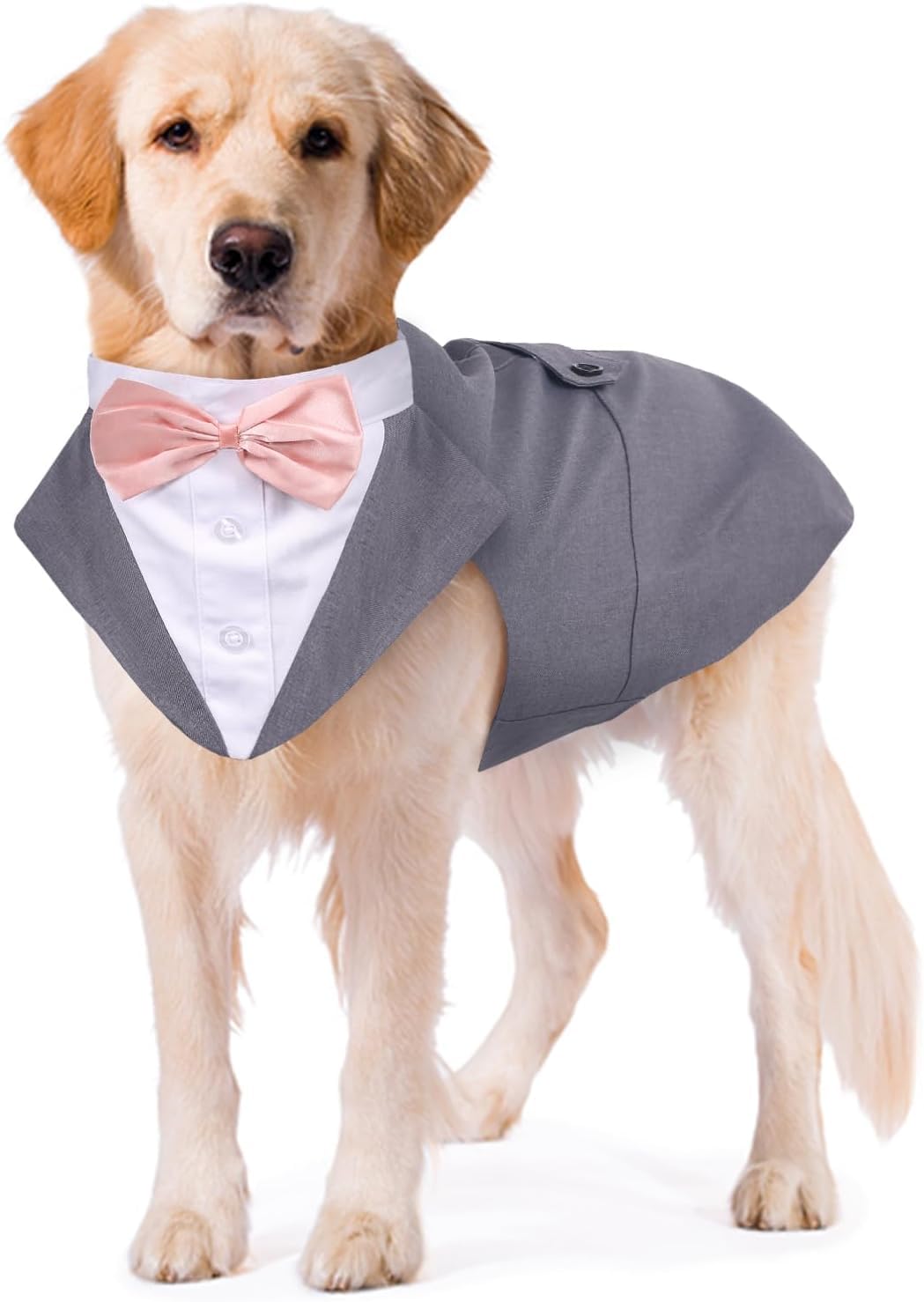 Dog Tuxedo Dress Suit Bandana Set