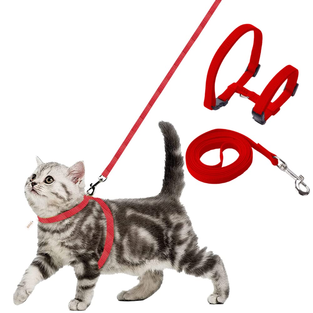 Cat Harness