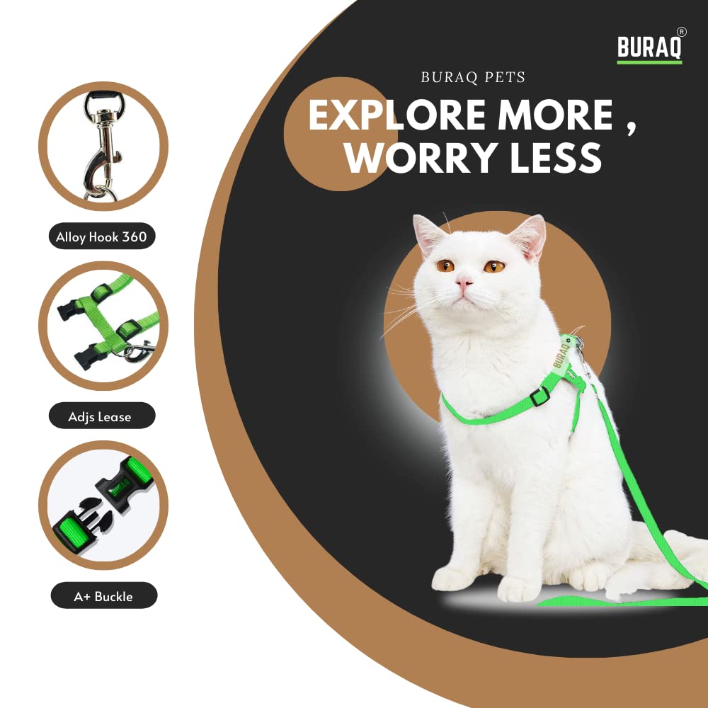 Cat Harness