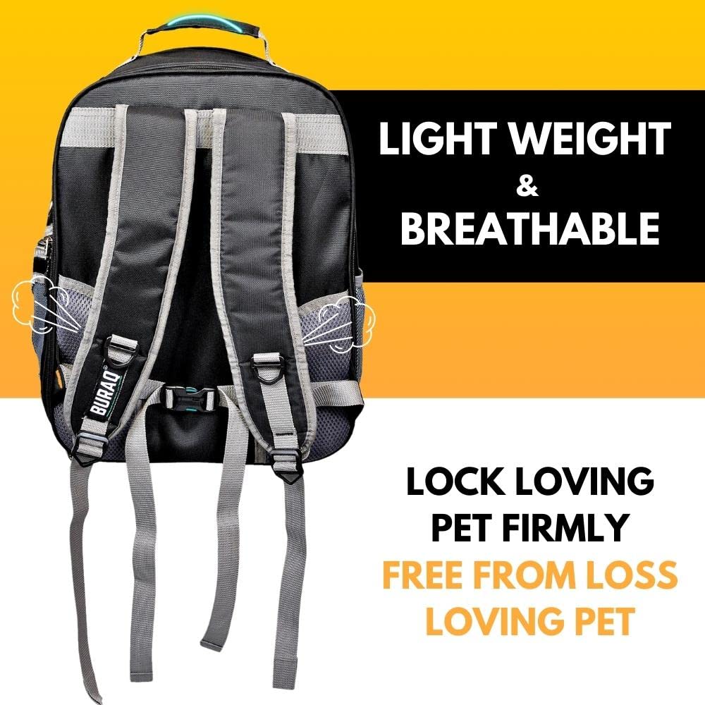 Expandable Astronaut Pet Carrier Backpack