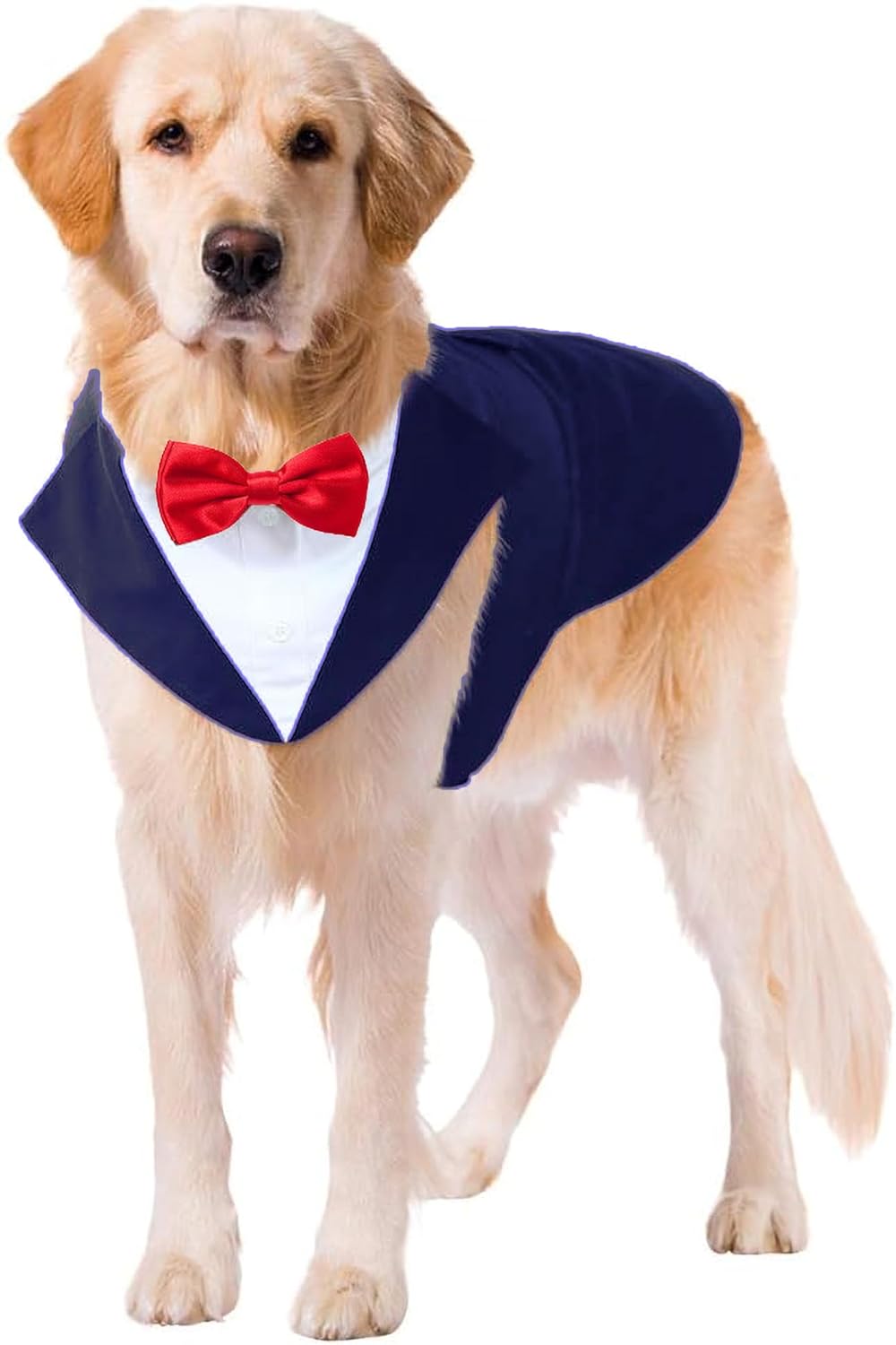 Dog Tuxedo Dress Suit Bandana Set