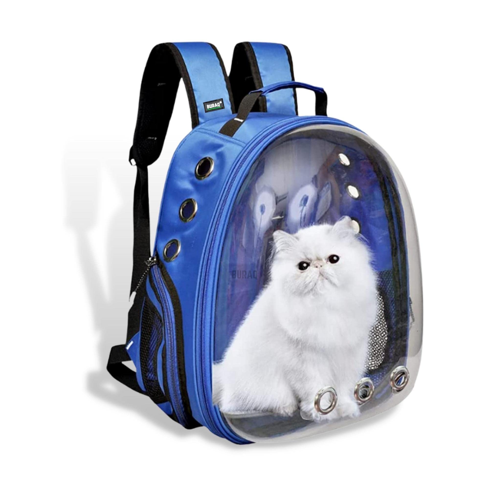 Astronaut Transparent Pet Carrier Backpack