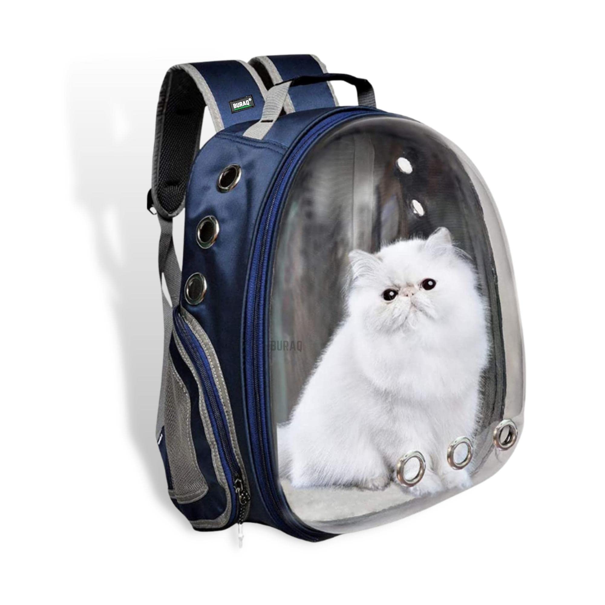 Astronaut Transparent Pet Carrier Backpack