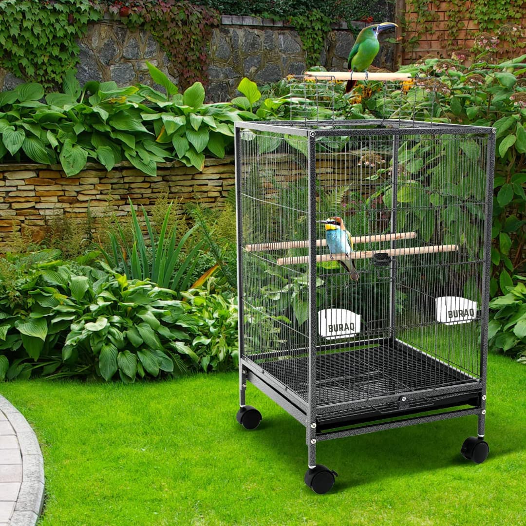 Large bird cage for budgies best sale